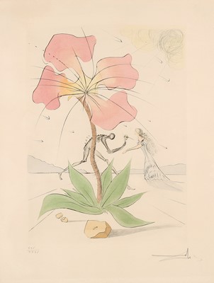Lot 47 - Salvador Dali (Spanish 1904-1989)