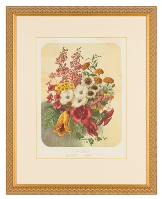 Lot 193 - Elisa Champin (after)Five lithographs from the Album Vilmorin