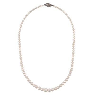 Lot 353 - A single strand pearl necklace