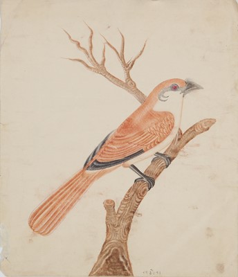 Lot 42 - British School (late 19th Century)