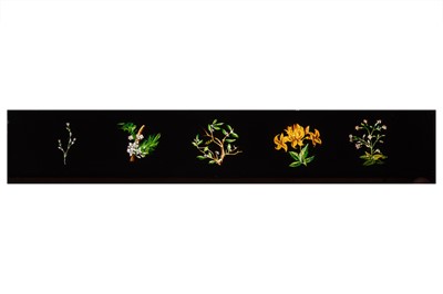 Lot 47 - Hand-Painted Panoramic Magic Lantern Slides, c.1860