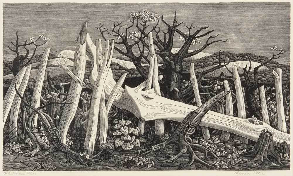 Lot 12 - Monica Poole (British, 1921-2003)