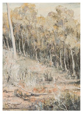 Lot 46 - David Clyde Dridan (Australian, b.1932)
