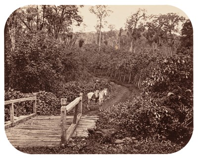 Lot 94 - James Page & Walter Bentley Woodbury (active c. 1858-1900)