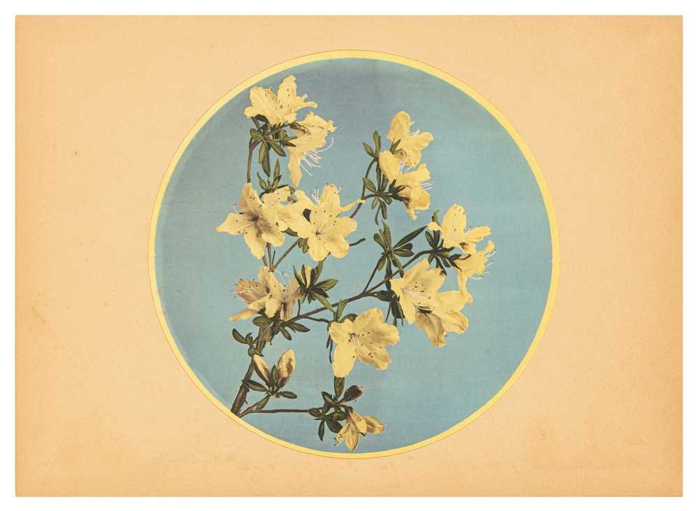 Lot 119 - Kazumasa Ogawa (1860-1929)