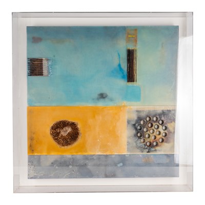 Lot 249 - Joanna Chapman