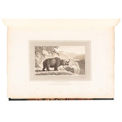 Lot 106 - Daniell: Interesting Selections from Animated Nature with Illustrated Scenery