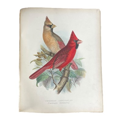 Lot 104 - Butler (Arthur G.) Foreign Finches in Captivity