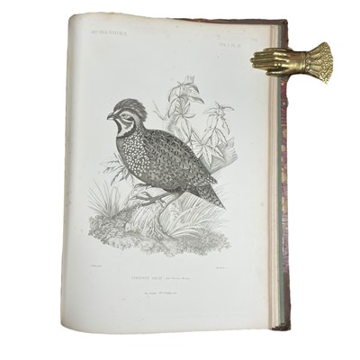 Lot 119 - Thomson (James) Arcana Naturae, 1859