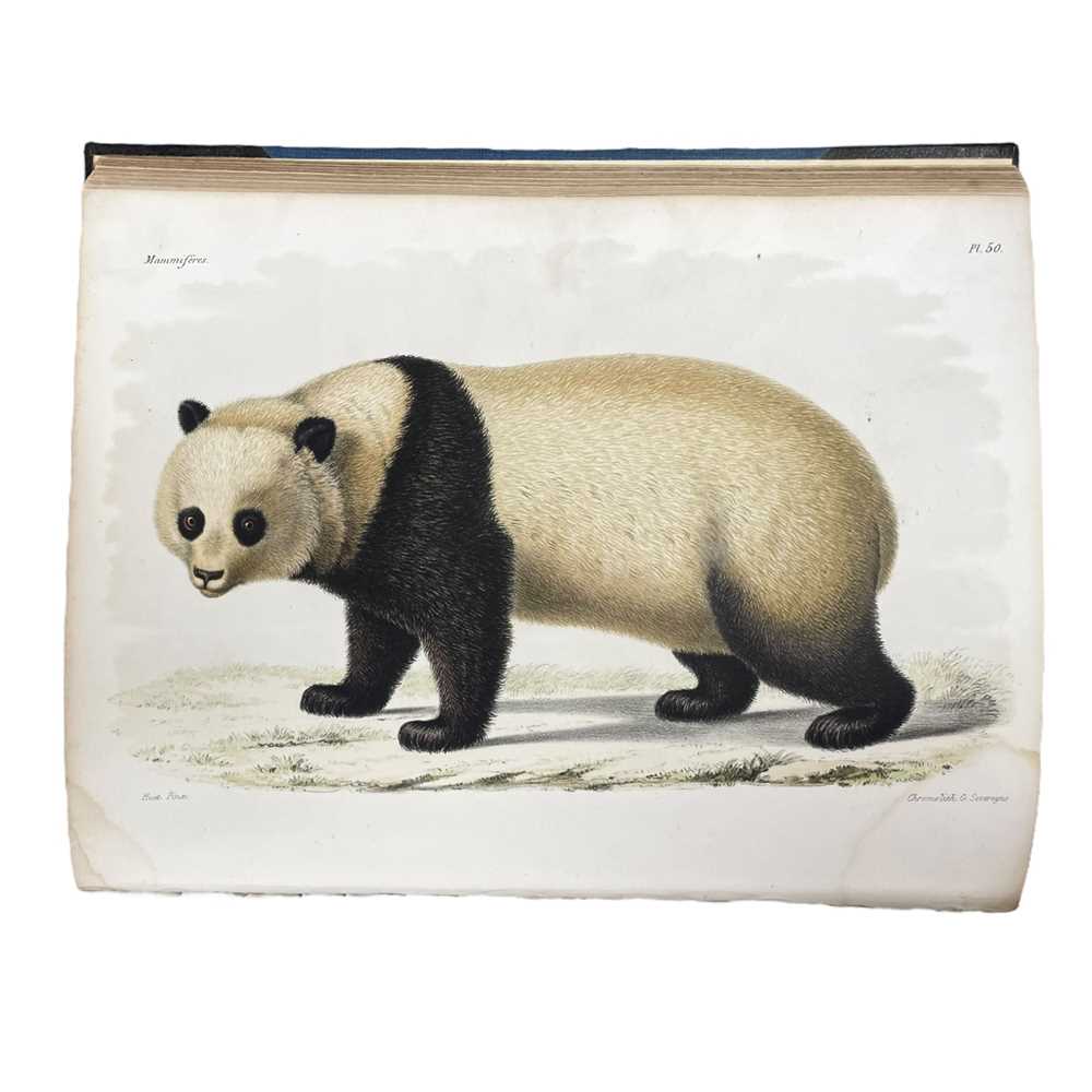 Lot 111 - Milne-Edwards, (Henri & Alphonse) Recherches pour servir à l'histoire naturelle des mammifères comprenant...1868