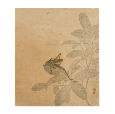 Lot 697 - A Chinese painting of a cricket, Chinese School, 19th century