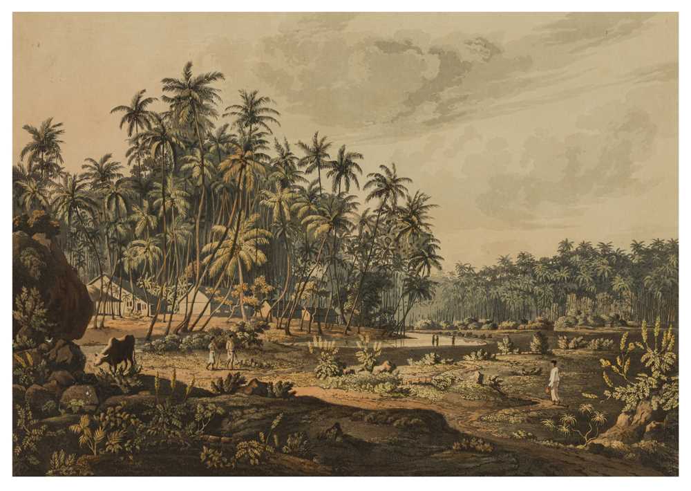 Lot 42 - Salt (Henry).- Sri Lanka