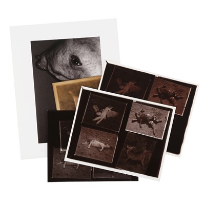 Lot 154 - David Bailey (b.1938)