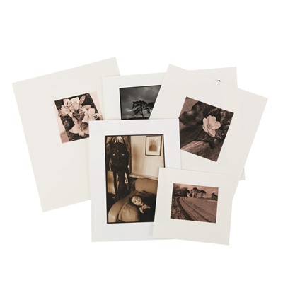 Lot 118 - David Bailey (b.1938)