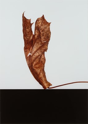 Lot 205 - Barry Lategan (1935-2024)