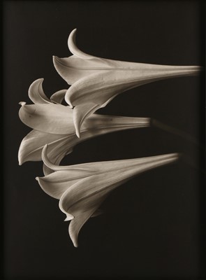 Lot 279 - Bruce Rae (b. 1946)