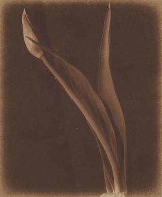 Lot 280 - Bruce Rae (b.1946)