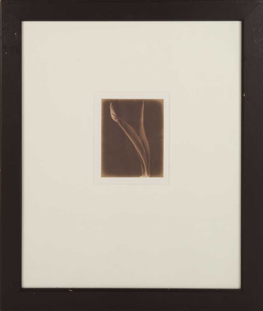 Lot 280 - Bruce Rae (b.1946)