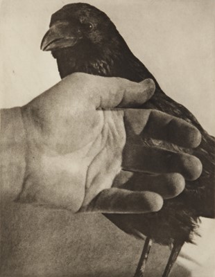 Lot 309 - Jim Dine (b.1935)