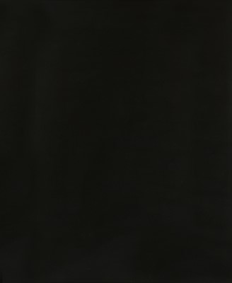 Lot 365 - Adam Fuss (b.1961)