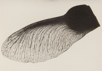 Lot 41 - Imre Kinszki (1901-1945)