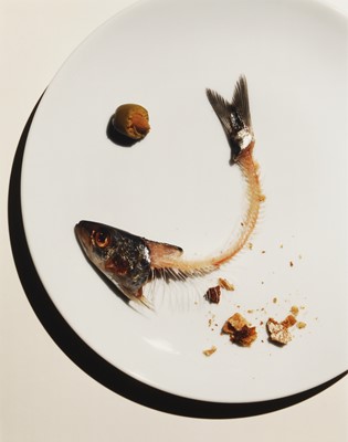Lot 242 - Irving Penn (1917 - 2009)