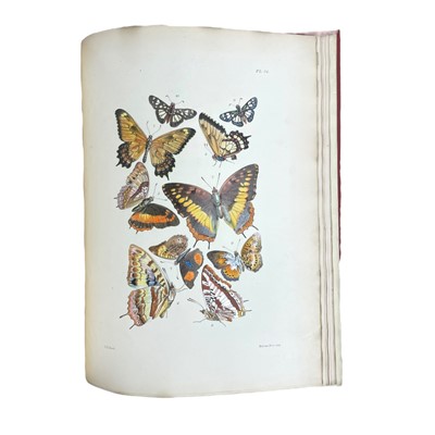 Lot 120 - Westwood (John Obadiah) Thesaurus entomologicus Oxoniensis..., 1874