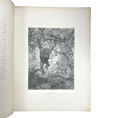 Lot 121 - Wolf (Joseph) The Life and Habits of Wild Animals, and others (4)