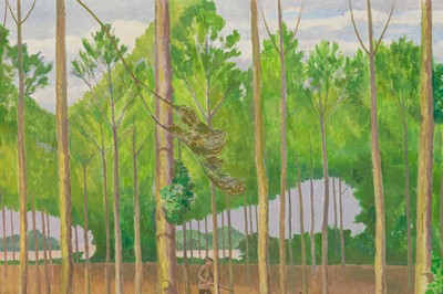 Lot 71 - John Nash R.A. (British, 1893-1977)