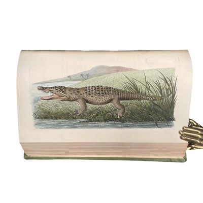 Lot 117 - Shaw (George) & Nodder (Frederick P.) The Naturalist's Miscellany, 24 vols., 1789 - 1813