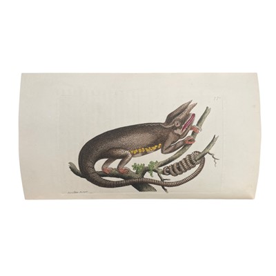 Lot 117 - Shaw (George) & Nodder (Frederick P.) The Naturalist's Miscellany, 24 vols., 1789 - 1813