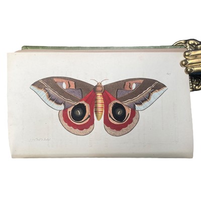 Lot 117 - Shaw (George) & Nodder (Frederick P.) The Naturalist's Miscellany, 24 vols., 1789 - 1813
