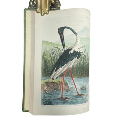 Lot 117 - Shaw (George) & Nodder (Frederick P.) The Naturalist's Miscellany, 24 vols., 1789 - 1813