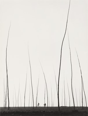 Lot 107 - Augusto Cantamessa (1927-2018)