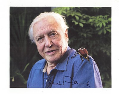 Lot 154 - Attenborough (David)