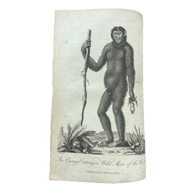 Lot 112 - Natural History & Science