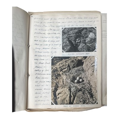 Lot 113 - Ornithology: Jolley (A. E.)