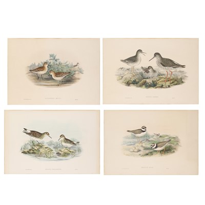 Lot 182 - John Gould (British, 1929-2012)