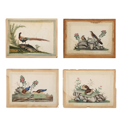 Lot 699 - Four Chinese 'birds and flowers' pith painting, Chinese School, 19th century
