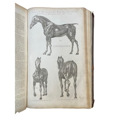 Lot 150 - Encyclopedias