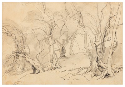 Lot 198 - Edward Lear (British, 1812-1888)