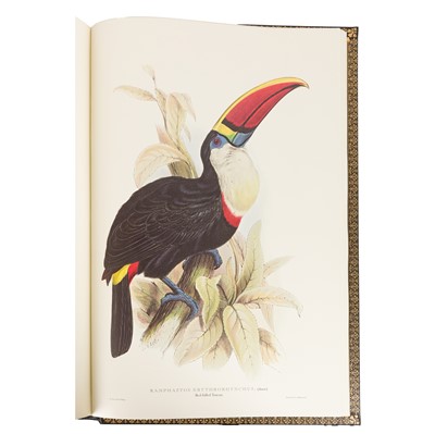 Lot 109 - Lear. Illustrations of Birds drawn for John Gould. Folio Soc. 2012