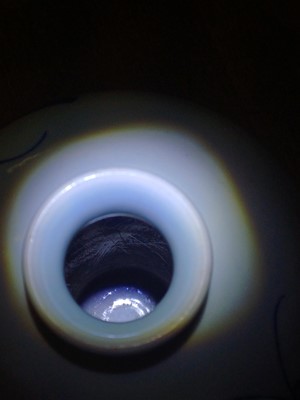 Lot 83 - A Chinese blue and white and copper-red 'butterfly' vase, 19th / 20th century