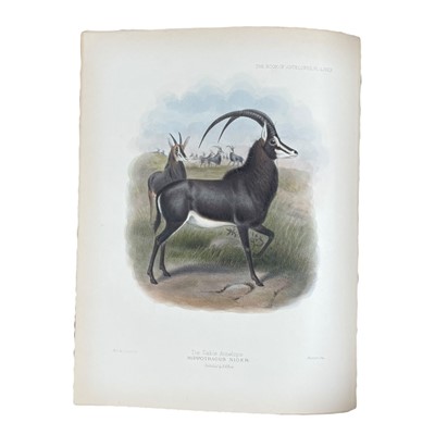 Lot 115 - Sclater and Oldfield. Book of Antelopes, 4 vol. 1894-1900
