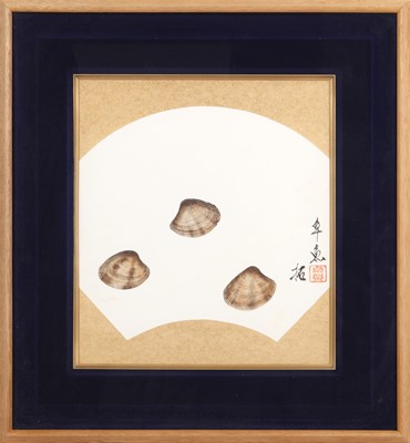 Lot 111 - A Japanese painting of shells, signed Takugyo, 20th - 21st century