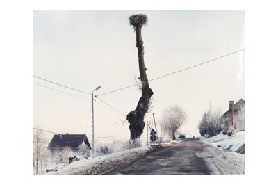 Lot 289 - Mark Power (b.1959)