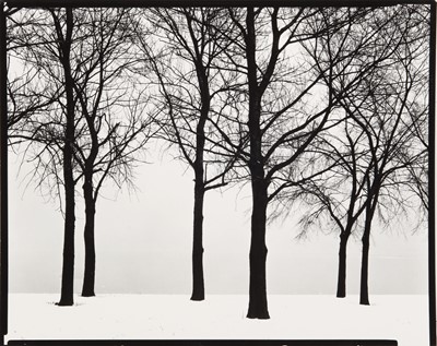Lot Harry Callahan (1912-1999)