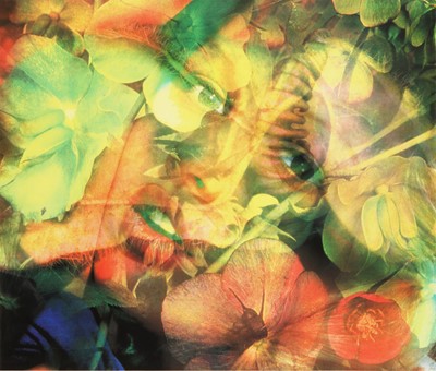 Lot 467 - Matt Collishaw (British, b.1966)