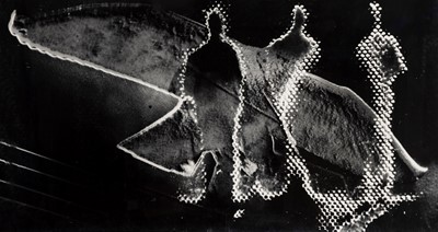 Lot 343 - Astrid Klein (b.1951)