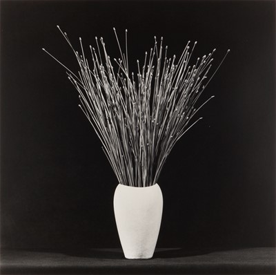 Lot 275 - Robert Mapplethorpe (1946 - 1989)